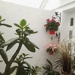 La Flor De Mayo Apartamento *