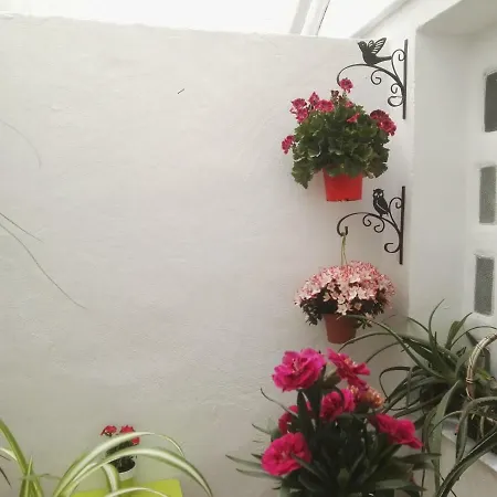 La Flor De Mayo شقة قرطبة