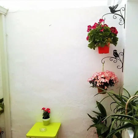 La Flor De Mayo شقة *