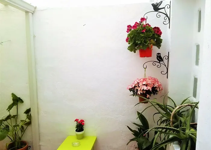 La Flor De Mayo דירה *