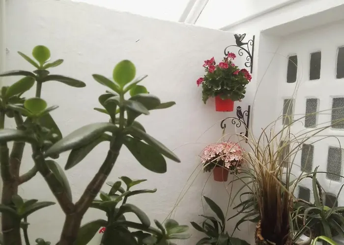 La Flor De Mayo 公寓 *