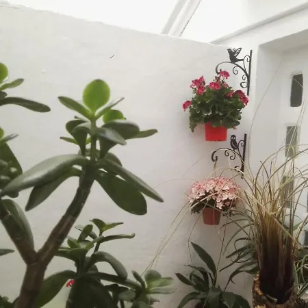 La Flor De Mayo Апартаменти *